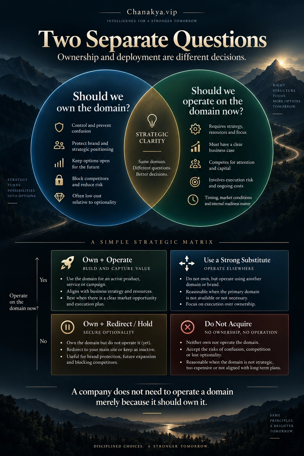 Two separate domain strategy questions: whether the organisation should own the domain and whether it should operate on the domain now, with a four-outcome matrix.