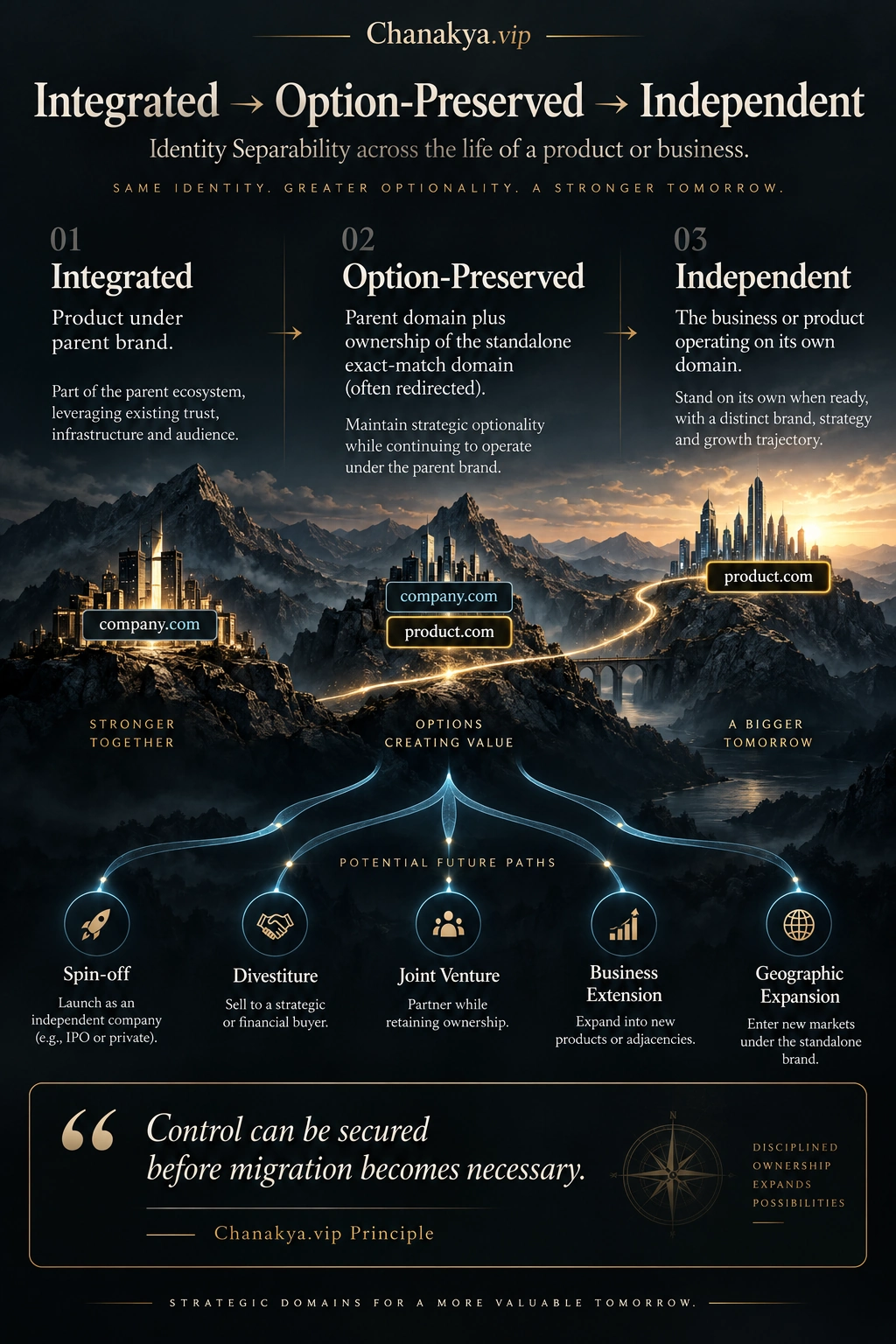 Integrated to option-preserved to independent domain architecture, showing identity separability across spin-off, divestiture, joint venture, business extension and geographic expansion paths.